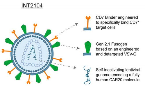 全球CAR-T療法第一梯隊 10款體內研發管線盤點與生物技術開發趨勢